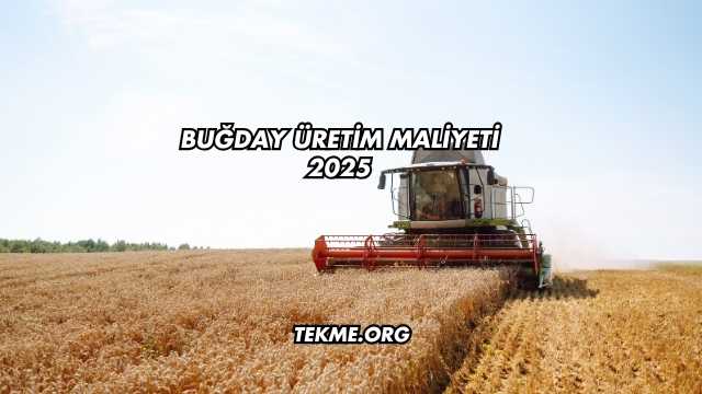 Buğday Üretim Maliyeti 2025