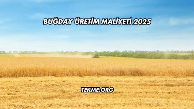 Buğday Üretim Maliyeti 2025