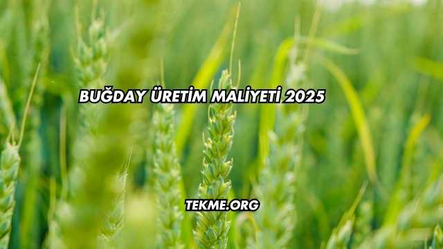 Buğday Üretim Maliyeti 2025