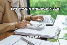 Buhar Maliyeti Hesaplama 2025