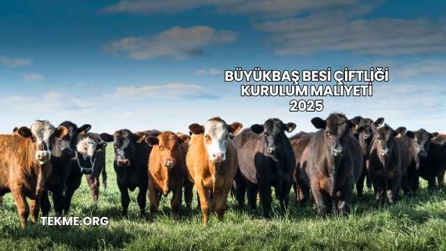 Büyükbaş Besi Çiftliği Kurulum Maliyeti 2025