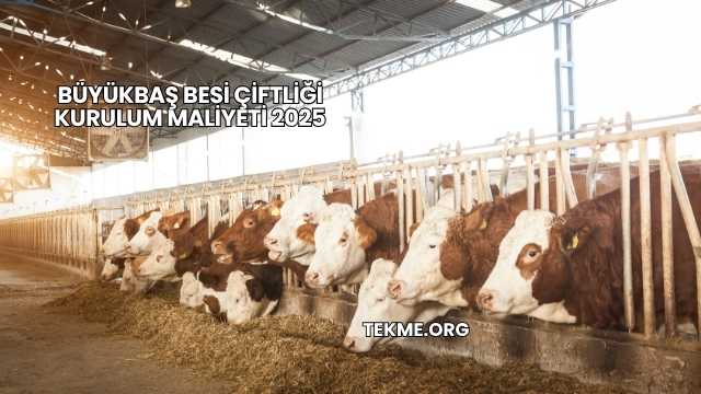 Büyükbaş Besi Çiftliği Kurulum Maliyeti 2025