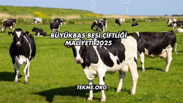Büyükbaş Besi Çiftliği Maliyeti 2025