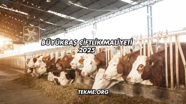 Büyükbaş Çiftlik Maliyeti 2025