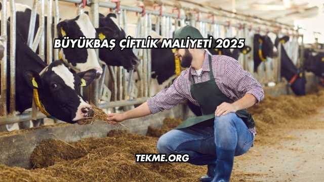 Büyükbaş Çiftlik Maliyeti 2025