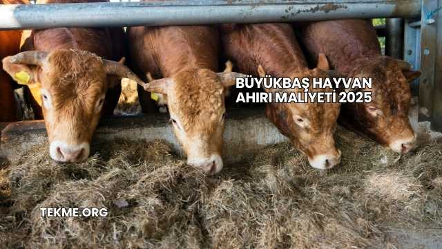 Büyükbaş Hayvan Ahırı Maliyeti 2025