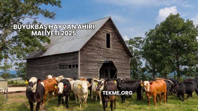 Büyükbaş Hayvan Ahırı Maliyeti 2025
