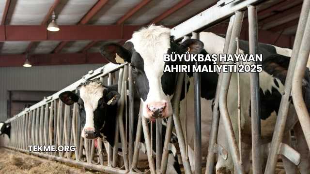 Büyükbaş Hayvan Ahırı Maliyeti 2025