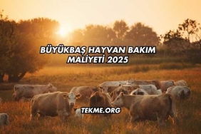 Büyükbaş Hayvan Bakım Maliyeti 2025