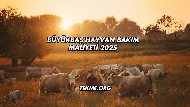 Büyükbaş Hayvan Bakım Maliyeti 2025