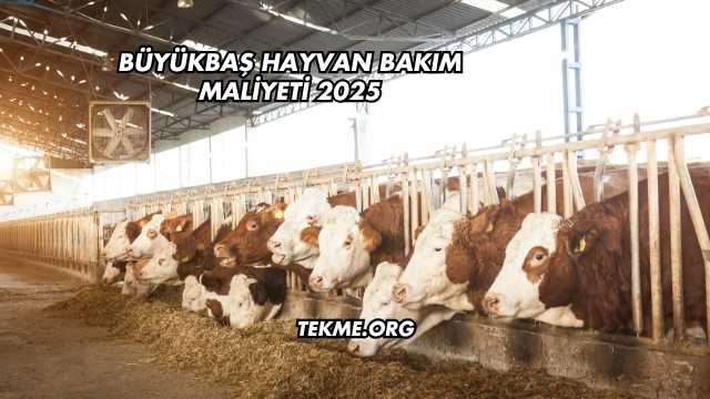 Büyükbaş Hayvan Bakım Maliyeti 2025