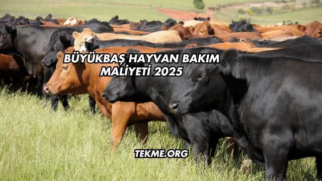 Büyükbaş Hayvan Bakım Maliyeti 2025