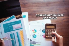 Cari Hizmet Maliyeti Ne Demek?