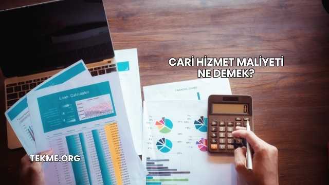 Cari Hizmet Maliyeti Ne Demek?
