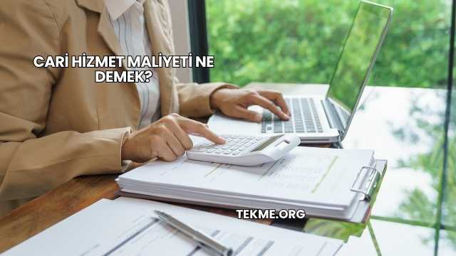 Cari Hizmet Maliyeti Ne Demek?