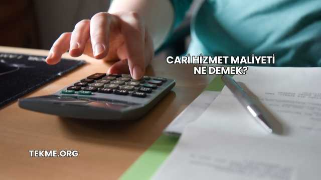 Cari Hizmet Maliyeti Ne Demek?