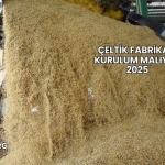 Çeltik Fabrikası Kurulum Maliyeti 2025