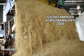 Çeltik Fabrikası Kurulum Maliyeti 2025