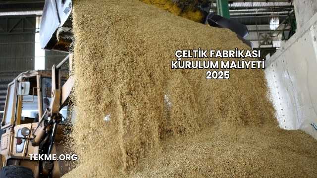 Çeltik Fabrikası Kurulum Maliyeti 2025