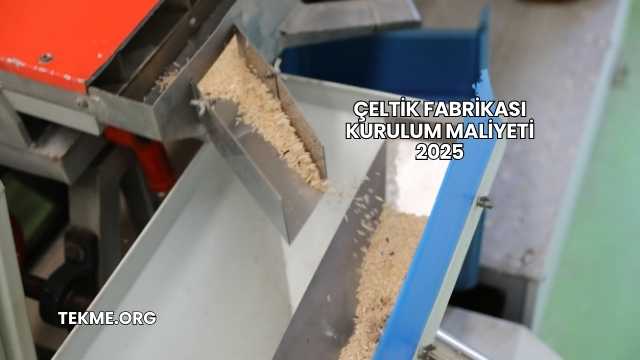 Çeltik Fabrikası Kurulum Maliyeti 2025