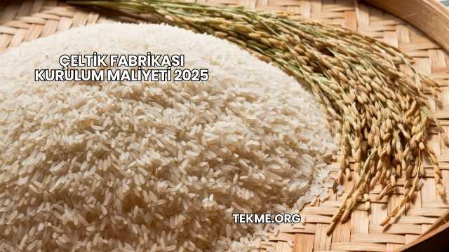 Çeltik Fabrikası Kurulum Maliyeti 2025