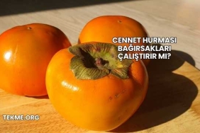 Cennet Hurması Bağırsakları Çalıştırır mı?