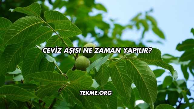 Ceviz Aşısı Ne Zaman Yapılır?