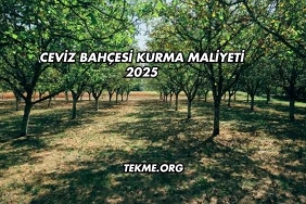 Ceviz Bahçesi Kurma Maliyeti 2025