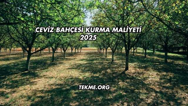 Ceviz Bahçesi Kurma Maliyeti 2025