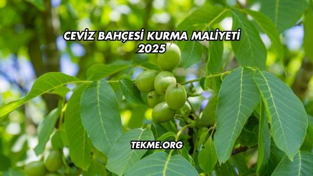 Ceviz Bahçesi Kurma Maliyeti 2025