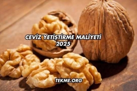 Ceviz Yetiştirme Maliyeti 2025