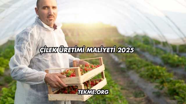 Çilek Üretimi Maliyeti 2025