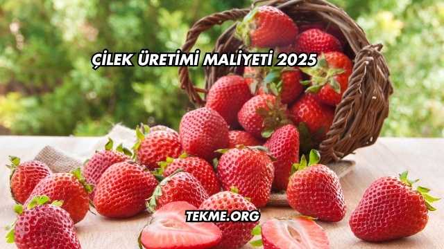 Çilek Üretimi Maliyeti 2025