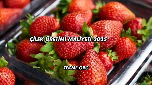 Çilek Üretimi Maliyeti 2025