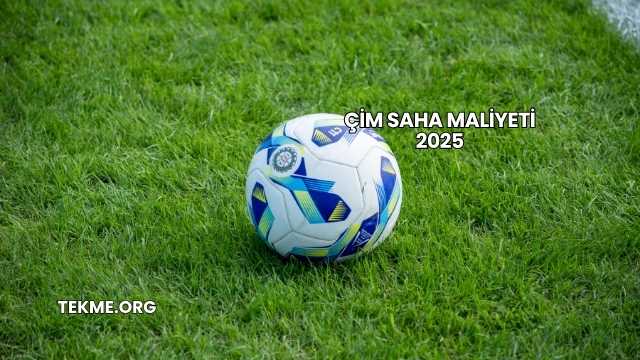 Çim Saha Maliyeti 2025