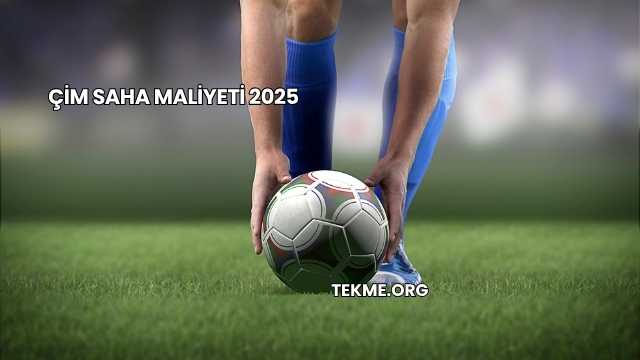 Çim Saha Maliyeti 2025