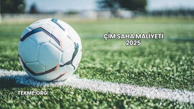 Çim Saha Maliyeti 2025