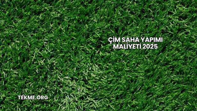 Çim Saha Yapımı Maliyeti 2025
