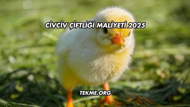 Civciv Çiftliği Maliyeti 2025