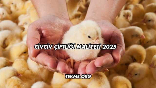 Civciv Çiftliği Maliyeti 2025