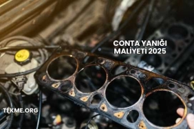 Conta Yanığı Maliyeti 2025