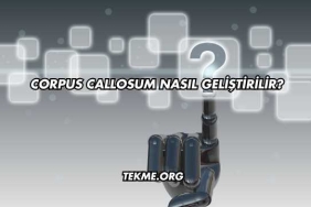 Corpus Callosum Nasıl Geliştirilir?