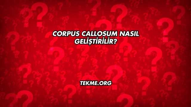 Corpus Callosum Nasıl Geliştirilir?