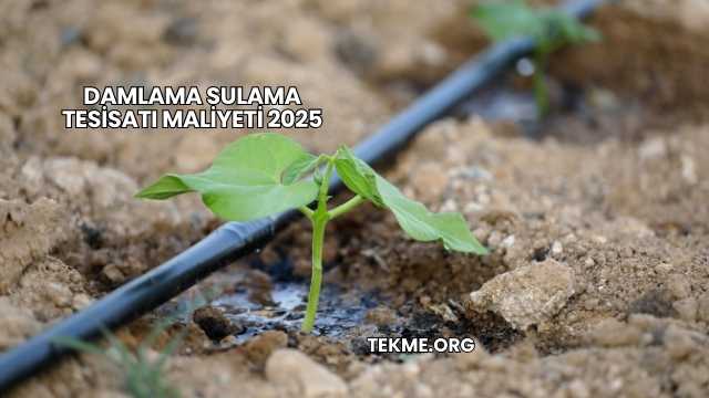 Damlama Sulama Tesisatı Maliyeti 2025