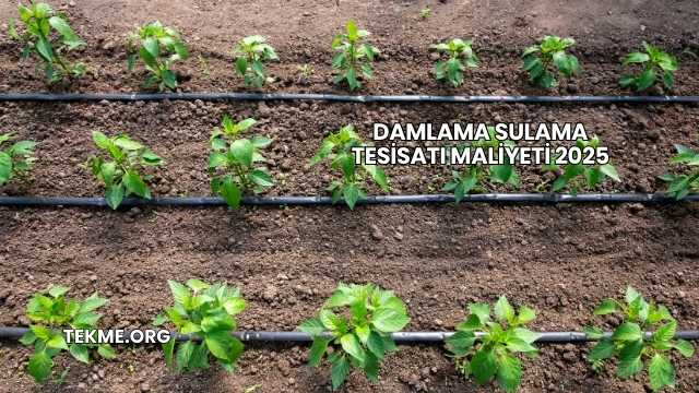 Damlama Sulama Tesisatı Maliyeti 2025