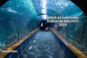 Deniz Akvaryumu Kurulum Maliyeti 2025