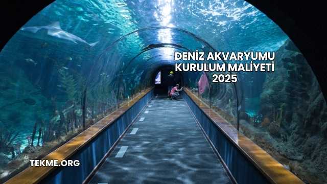 Deniz Akvaryumu Kurulum Maliyeti 2025