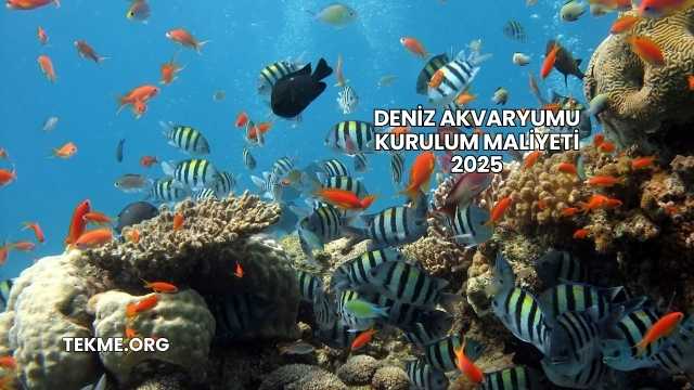 Deniz Akvaryumu Kurulum Maliyeti 2025