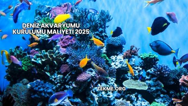 Deniz Akvaryumu Kurulumu Maliyeti 2025