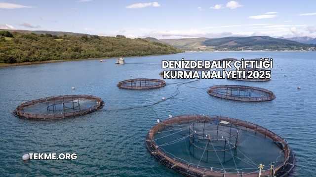 Denizde Balık Çiftliği Kurma Maliyeti 2025